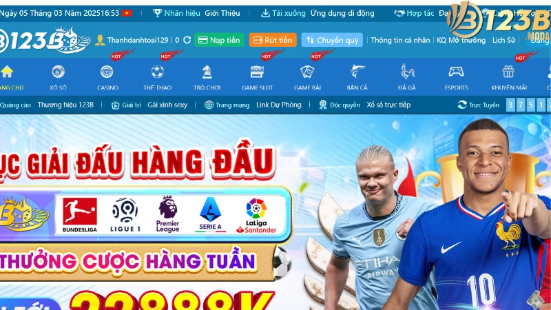 Những lý do nên lựa chọn đá gà tại đây