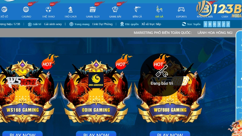 Tổng quan về hệ thống đá gà tại trang web
