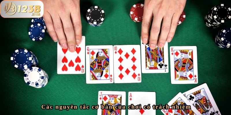 Chơi Có Trách Nhiệm – Cam Kết Của 123b Để Bảo Vệ Người Chơi 2 Các nguyên tắc cơ bản của chơi có trách nhiệm