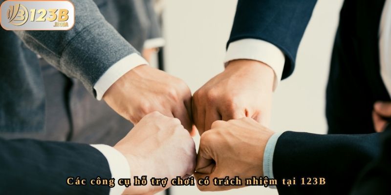 Chơi Có Trách Nhiệm – Cam Kết Của 123b Để Bảo Vệ Người Chơi 3 Các công cụ hỗ trợ chơi có trách nhiệm tại 123B