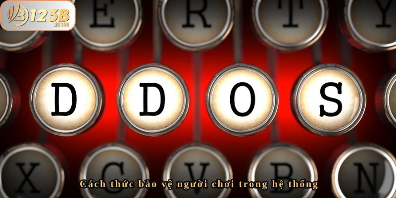 Chống Ddos – Bảo Vệ An Toàn Cho Nền Tảng Nhà Cái 123b 4 Cách thức bảo vệ người chơi trong hệ thống