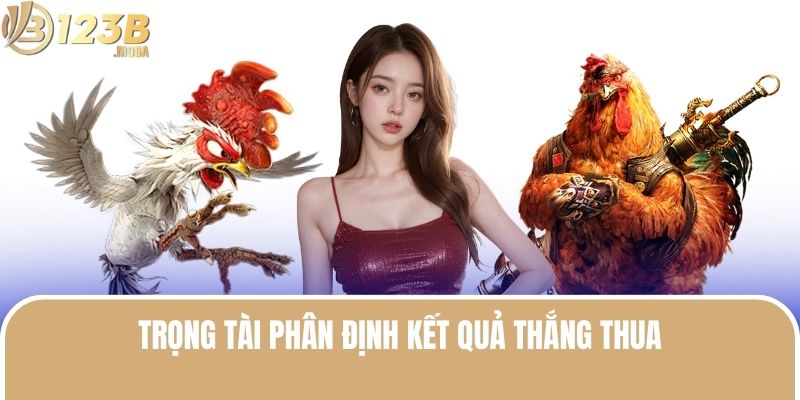 Đá Gà Cựa Dao - Trải Nghiệm Đỉnh Cao Tại Nhà Cái 123B 3 Trọng tài phân định kết quả thắng thua