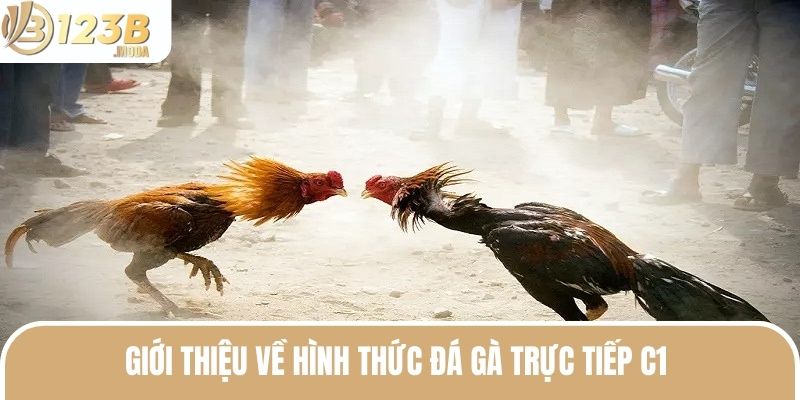 Đá Gà Trực Tiếp C1 - Cá Cược Hấp Dẫn Nhận Ngay Bạc Tỷ 2025 2 Đá gà trực tiếp C1 thu hút hàng triệu bet thủ nhờ ưu điểm khác biệt