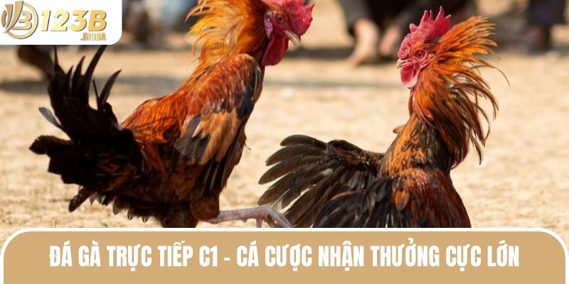 da ga truc tiep c1 thumb