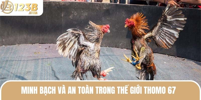 Đá Gà Trực Tiếp Thomo 67 - Bộ Môn Giải Trí Đỉnh Nhất Năm 2 Minh bạch và an toàn trong thế giới Thomo 67