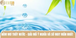 Nằm Mơ Thấy Nước - Giải Mã Ý Nghĩa Và Số May Mắn Nhất  2 nam mo thay nuoc anh dai dien