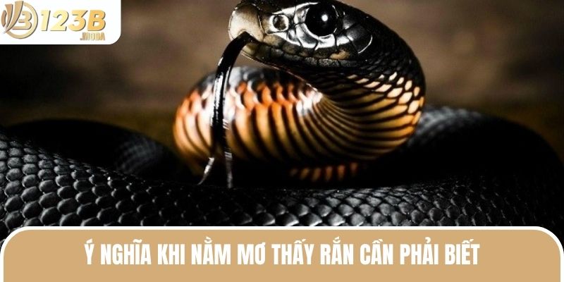 Nằm Mơ Thấy Rắn - Ý Nghĩa Và Giải Mã Số Đánh Đề Phù Hợp 2 Ý nghĩa khi nằm mơ thấy rắn cần phải biết