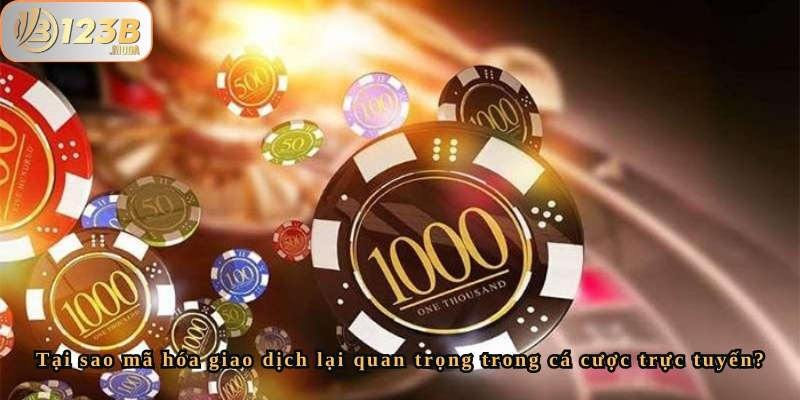 Nhà cái 123b có áp dụng mã hóa giao dịch không? 3 Nhà cái 123b có áp dụng mã hóa giao dịch không?