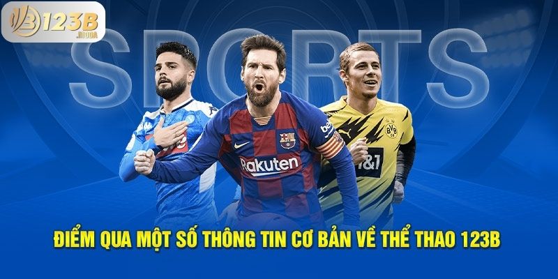 Top Người Chơi Đỉnh Cao TOP 1 Tại Nhà Cái 123b 2 Giới thiệu về nhà cái 123b và thị trường cá cược online