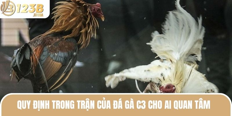 Trực Tiếp Đá Gà C3 - Trải Nghiệm Trận Đấu Mãn Nhãn Khó Quên 2 Quy định trong trận của đá gà C3 cho ai quan tâm